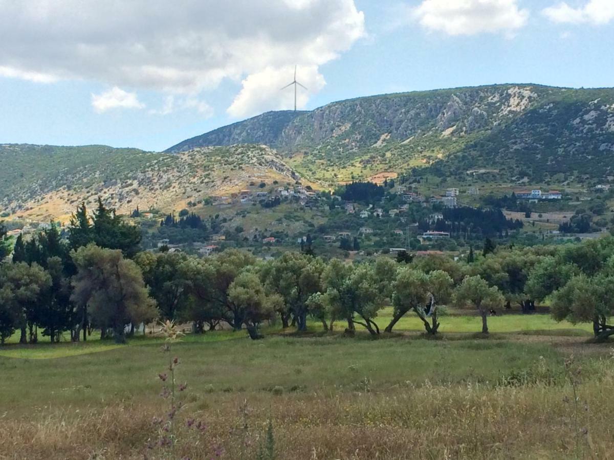 Zeytinli Konak Bed & Breakfast Izmir Bagian luar foto